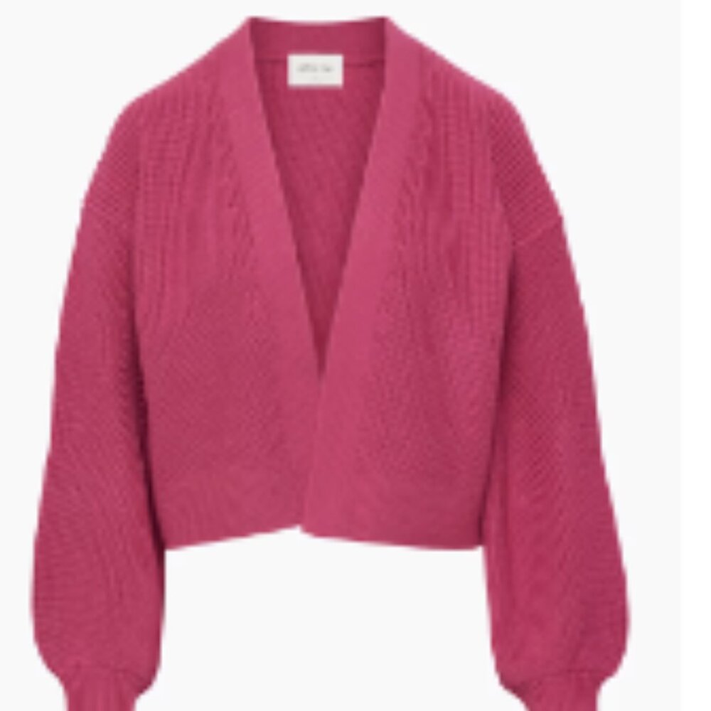 Aritzia Merino Wool Knit Cardigan